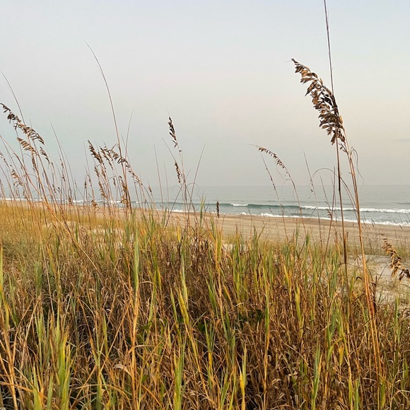 ‼️Spend 50$+ and get a free gift!🎁 Happy Holidays! Thank you for stopping buy 🥰! - Picture 5 of 13